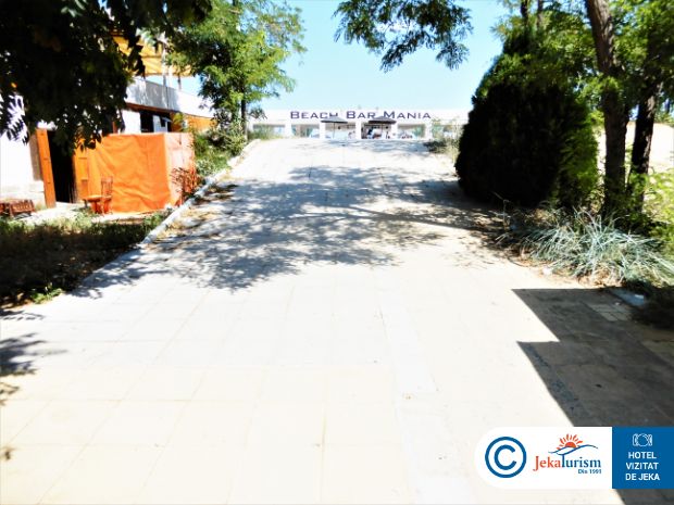 Poze Asteria Family 11