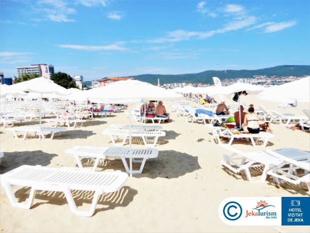 Poze Asteria Family 12