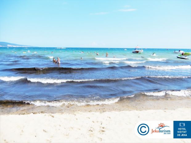 Poze Asteria Family 15