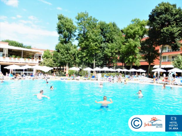 Poze Asteria Family 9