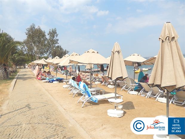 Poze Long Beach Club Nature 14