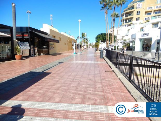 Poze Adrian Jardines De Nivaria 11