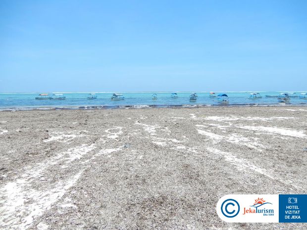 Poze Ahg Dream's Bay Boutique 13