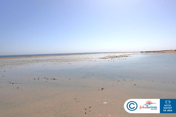 Poze Albatros Makadi Resort 17