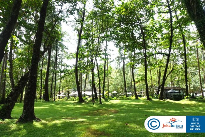 Poze Avani Plus Khao Lak Resort 22