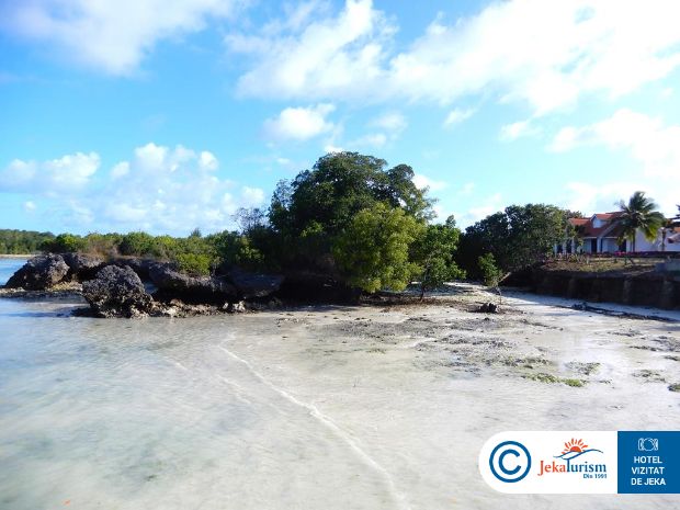 Poze Azao Resort And Spa 11