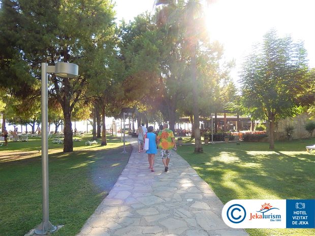 Poze Barut Hemera 18