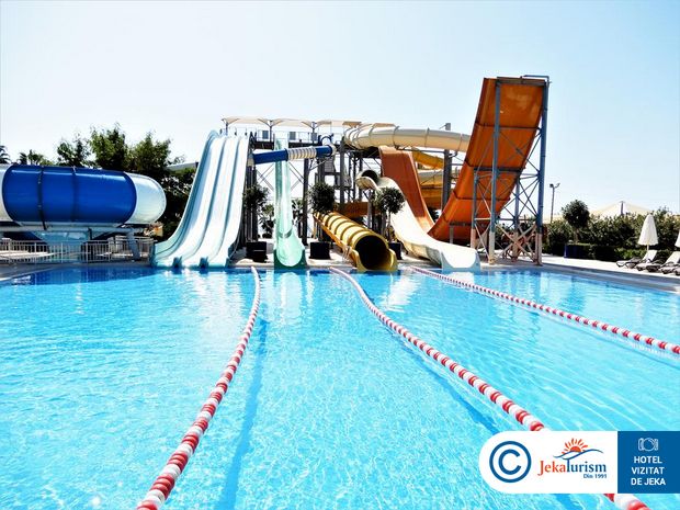 Poze Bellis Deluxe 10