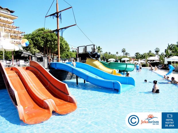 Poze Bellis Deluxe 11