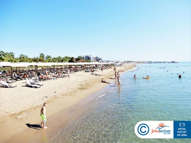 Poze Bellis Deluxe 12