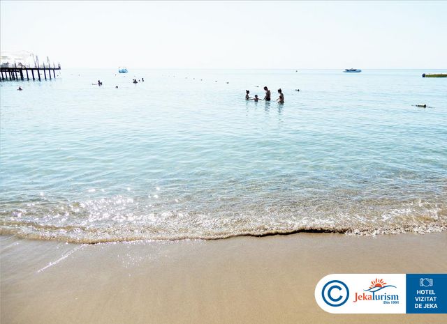 Poze Bellis Deluxe 13