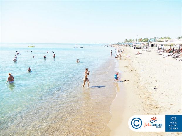 Poze Bellis Deluxe 14