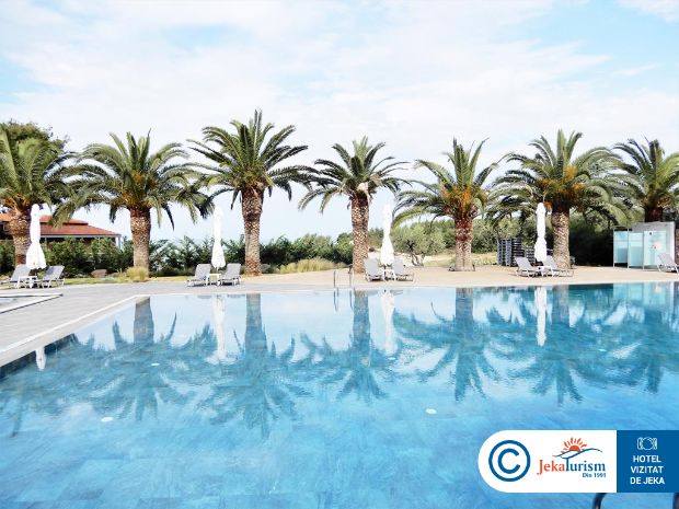 Poze Blue Dolphin 18