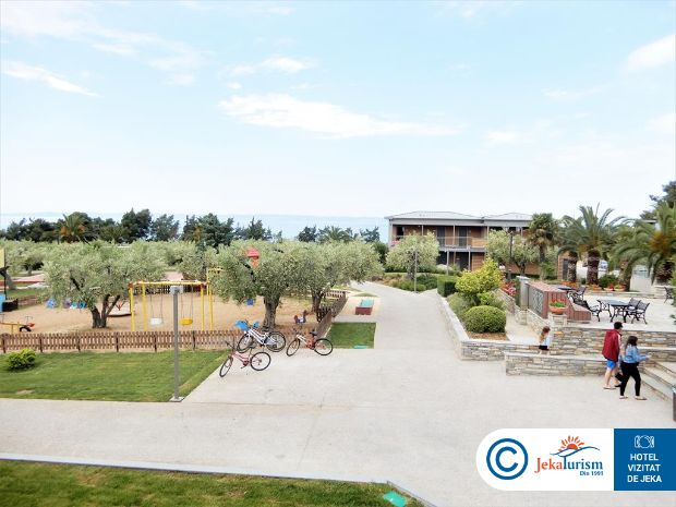 Poze Blue Dolphin 19