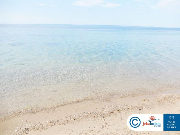 Poze Blue Dolphin 24