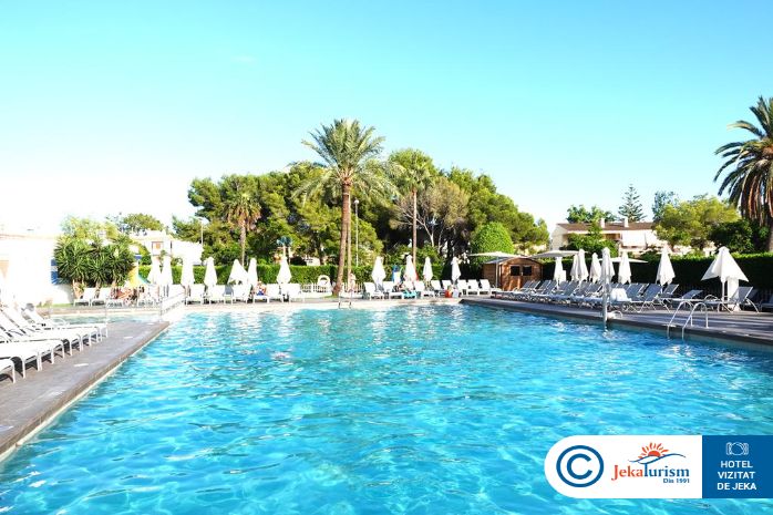 Poze Bq Delfin Azul 10