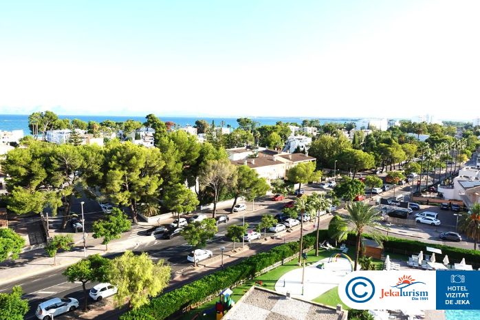 Poze Bq Delfin Azul 11