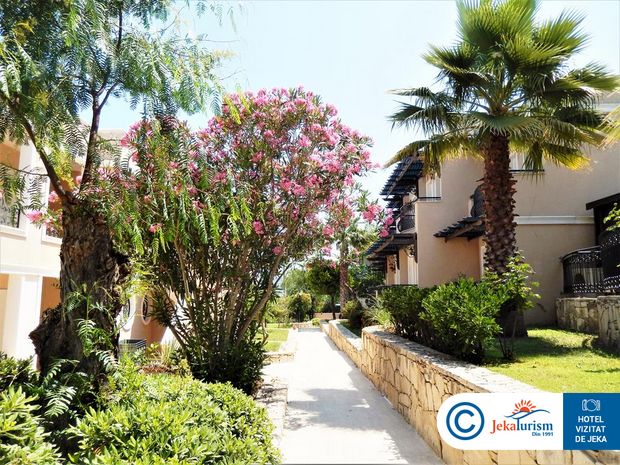 Poze Complex Cactus Mirage Family Club 6