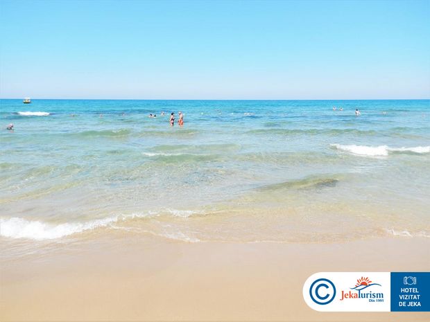 Poze Cactus Royal 10