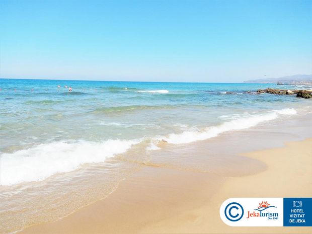 Poze Cactus Royal 11