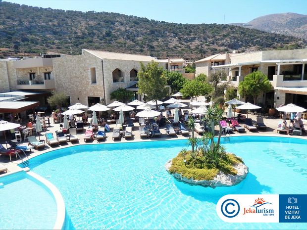 Poze Cactus Royal Creta