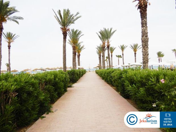 Poze Calimera Delfino Beach Resort & Spa 27