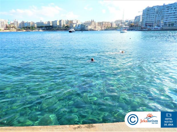 Poze Cavalieri Art 13