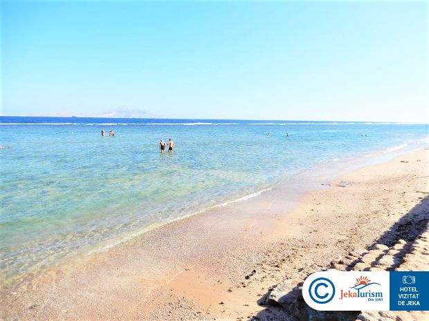 Poze Charmillion Sea Life 10