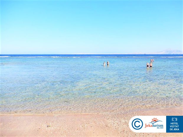 Poze Charmillion Sea Life 11