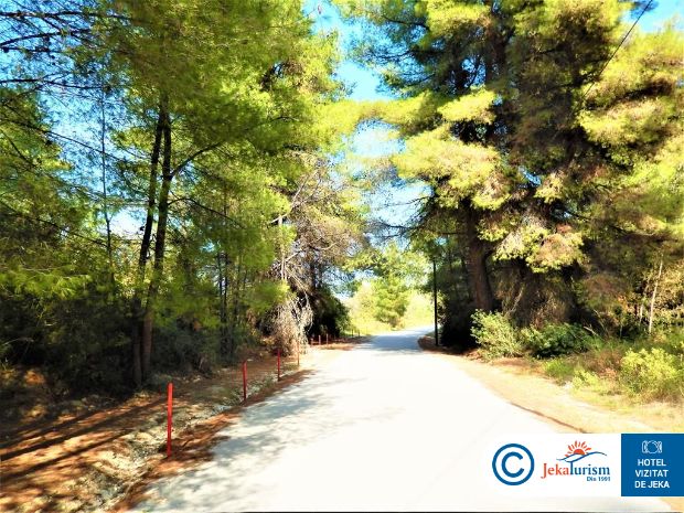 Poze Chrousso Village 18