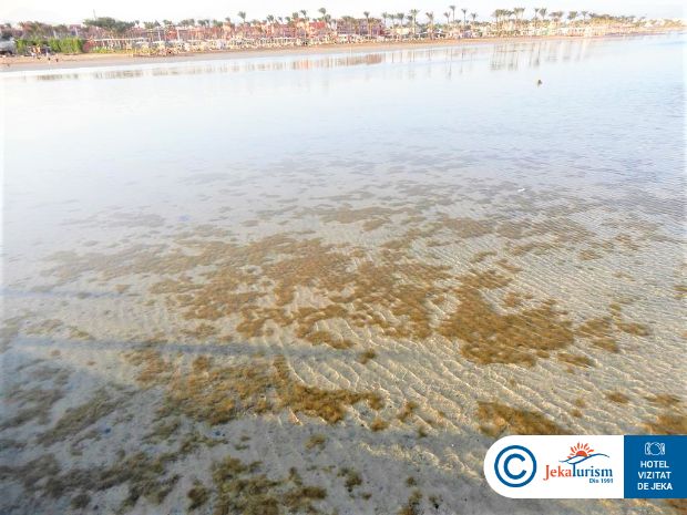 Poze Coral Sea Holiday Resort & Aqua Park 15