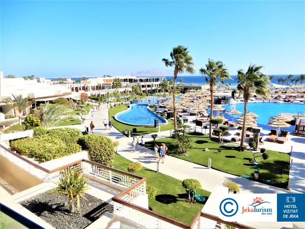 Poze Coral Sea Imperial 15