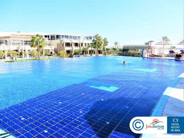 Poze Coral Sea Imperial 17