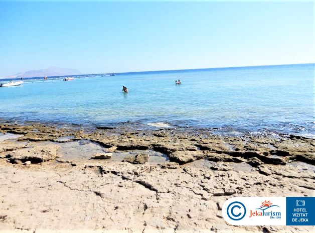 Poze Coral Sea Imperial 20