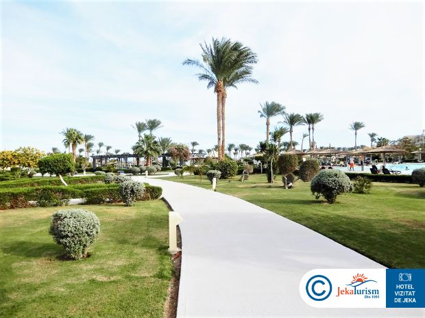 Poze Coral Sea Waterworld 14