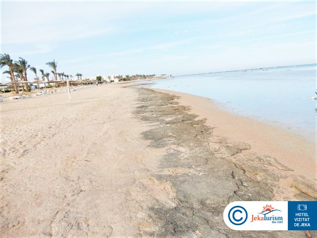 Poze Coral Sea Waterworld 16