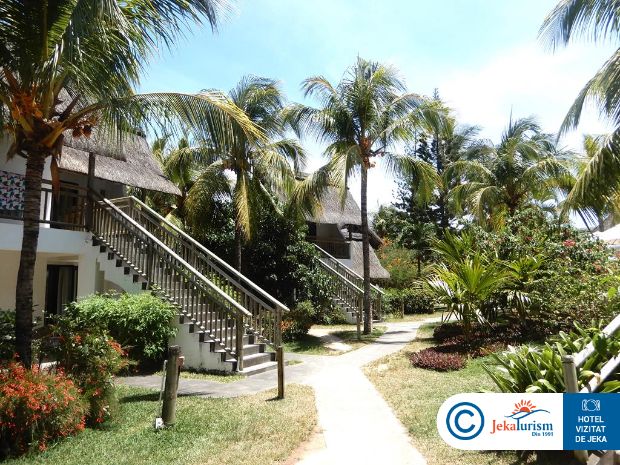 Poze Coin De Mire Attitude 11