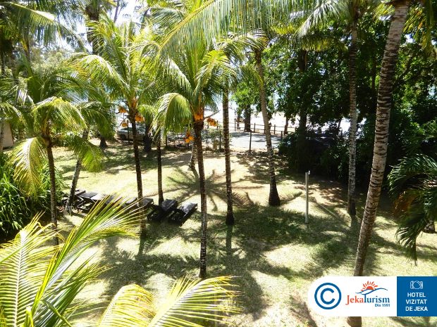 Poze Coin De Mire Attitude 12