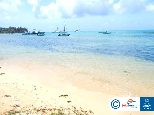 Poze Coin De Mire Attitude 15