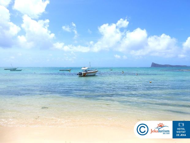 Poze Coin De Mire Attitude 16