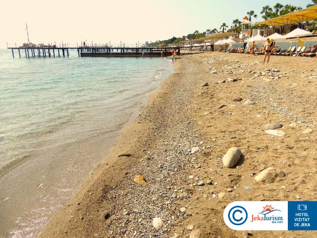 Poze Crystal Flora Pearl Collection 19