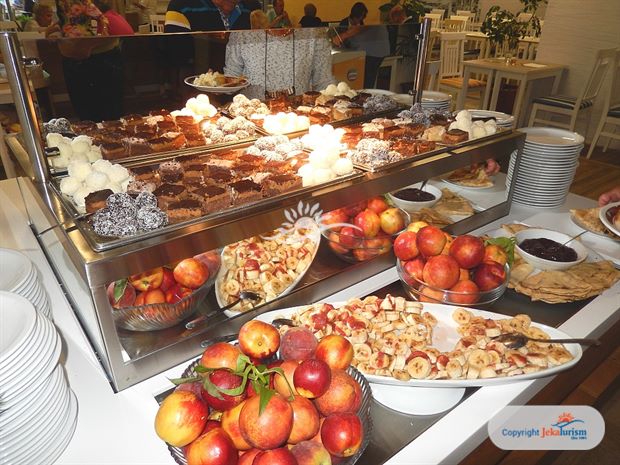 Poze Carine Delfin 10