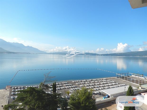 Poze Carine Delfin 12