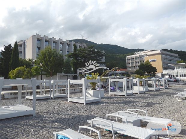 Poze Carine Delfin 13