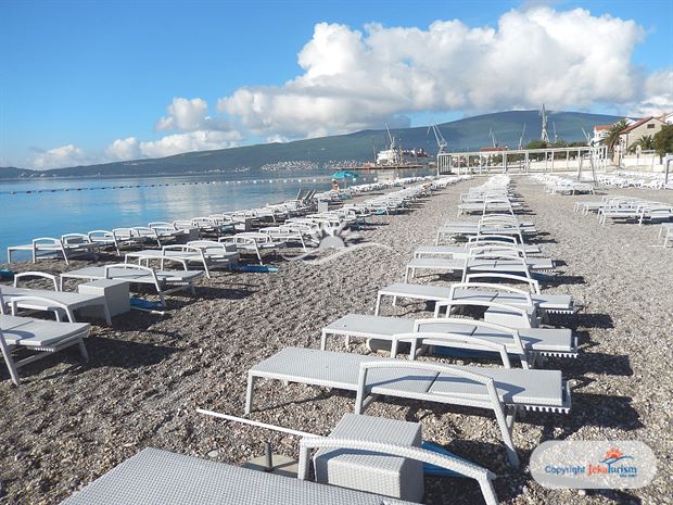 Poze Carine Delfin 15