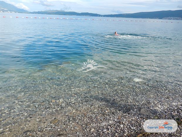 Poze Carine Delfin 16