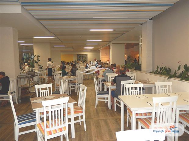 Poze Carine Delfin 9