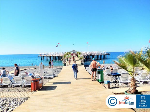 Poze Delphin Botanik 10