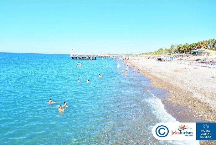 Poze Delphin Botanik 11