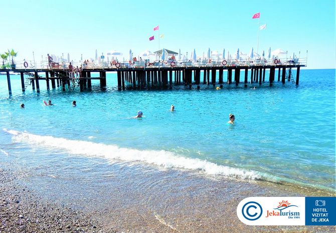 Poze Delphin Botanik 12